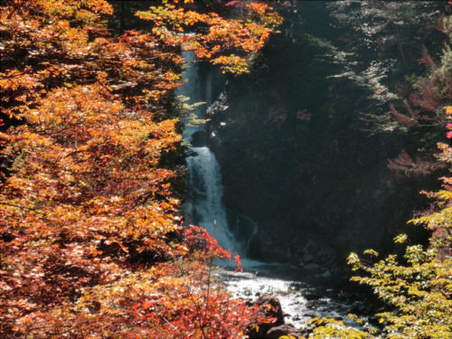h26_10_03.jpg