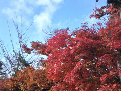 h25_11_04.jpg