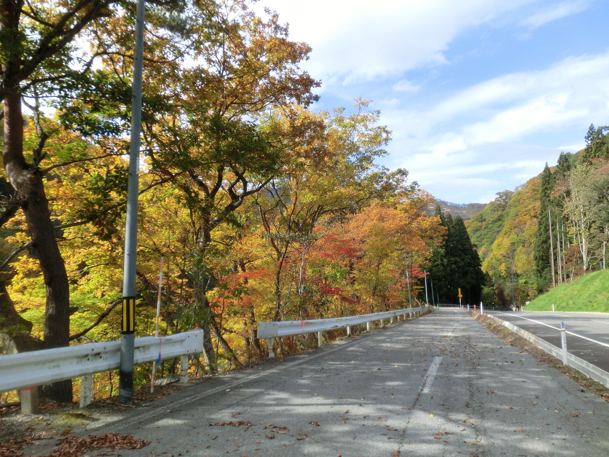 h30_autumn_4.jpg