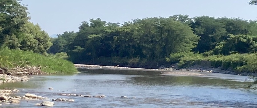 r5_08_04.jpg