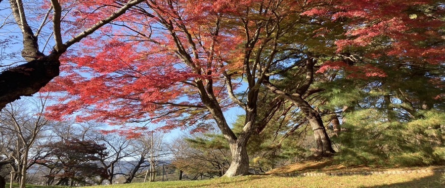 r05_11_08.jpg