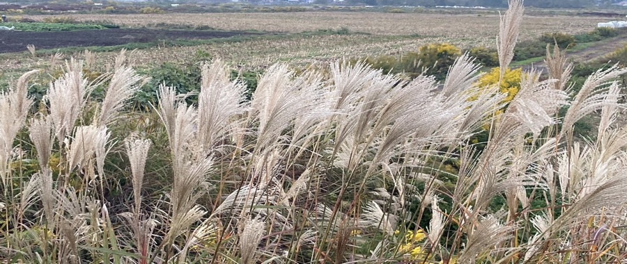 r05_11_06.jpg