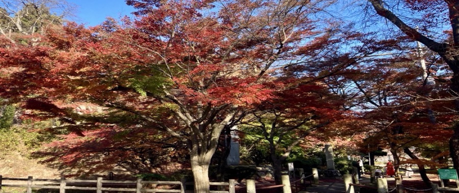 r05_11_03.jpg