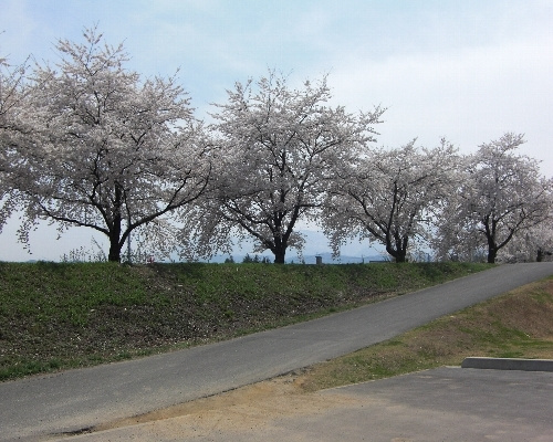 h21_04_07.jpg