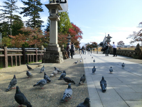 h26_10_02.jpg